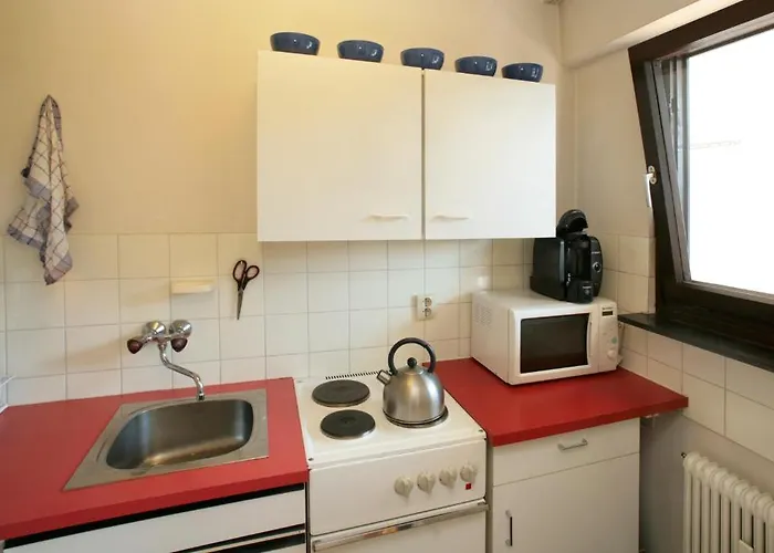 Rene * צל-אם-זי